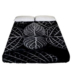 Black And White Plant Leaf Flower Pattern Line Black Monochrome Material Circle Spider Web Design Fitted Sheet (king Size) by Vaneshart