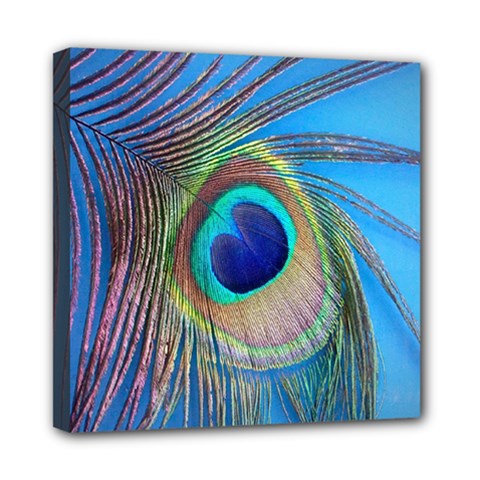 Nature Bird Wing Texture Animal Male Wildlife Decoration Pattern Line Green Color Blue Colorful Mini Canvas 8  X 8  (stretched) by Vaneshart