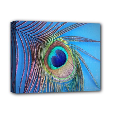 Nature Bird Wing Texture Animal Male Wildlife Decoration Pattern Line Green Color Blue Colorful Deluxe Canvas 14  X 11  (stretched) by Vaneshart