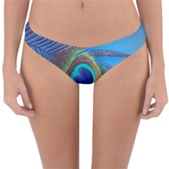 Nature Bird Wing Texture Animal Male Wildlife Decoration Pattern Line Green Color Blue Colorful Reversible Hipster Bikini Bottoms by Vaneshart