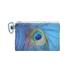 Nature Bird Wing Texture Animal Male Wildlife Decoration Pattern Line Green Color Blue Colorful Canvas Cosmetic Bag (small) by Vaneshart