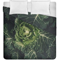 Plant Leaf Flower Green Produce Vegetable Botany Flora Cabbage Macro Photography Flowering Plant Duvet Cover Double Side (king Size) by Vaneshart