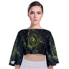 Plant Leaf Flower Green Produce Vegetable Botany Flora Cabbage Macro Photography Flowering Plant Tie Back Butterfly Sleeve Chiffon Top by Vaneshart
