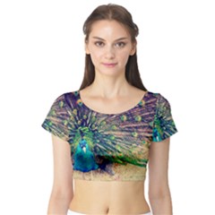 Bird Biology Fauna Material Chile Peacock Plumage Feathers Symmetry Vertebrate Peafowl Short Sleeve Crop Top by Vaneshart