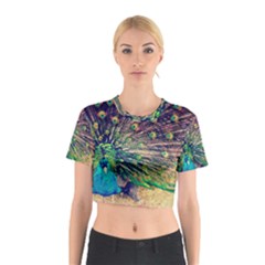 Bird Biology Fauna Material Chile Peacock Plumage Feathers Symmetry Vertebrate Peafowl Cotton Crop Top by Vaneshart