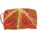 Plant Vineyard Wine Sunlight Texture Leaf Pattern Green Red Color Macro Autumn Circle Vein Sunny  Toiletries Pouch View3