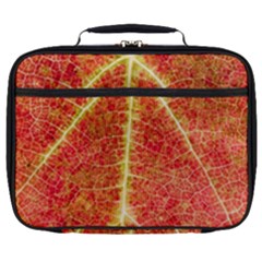 Plant Vineyard Wine Sunlight Texture Leaf Pattern Green Red Color Macro Autumn Circle Vein Sunny  Full Print Lunch Bag by Vaneshart