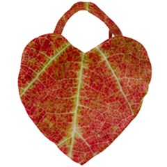 Plant Vineyard Wine Sunlight Texture Leaf Pattern Green Red Color Macro Autumn Circle Vein Sunny  Giant Heart Shaped Tote by Vaneshart