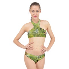 Abstract Spots Lines Green High Neck Bikini Set by Vaneshart