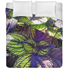 Dark Coleus Duvet Cover Double Side (california King Size) by Riverwoman