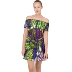 Dark Coleus Off Shoulder Chiffon Dress by Riverwoman