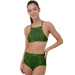 Fauna Nature Ornate Leaf High Waist Tankini Set by pepitasart