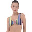 Stripes Colorful Wallpaper Seamless Ring Detail Bikini Top View1