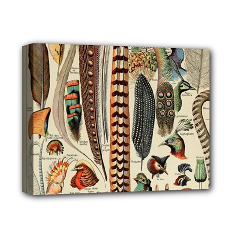 Feathers Birds Vintage Art Deluxe Canvas 14  X 11  (stretched)