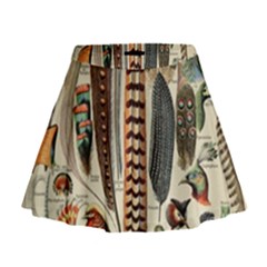 Feathers Birds Vintage Art Mini Flare Skirt