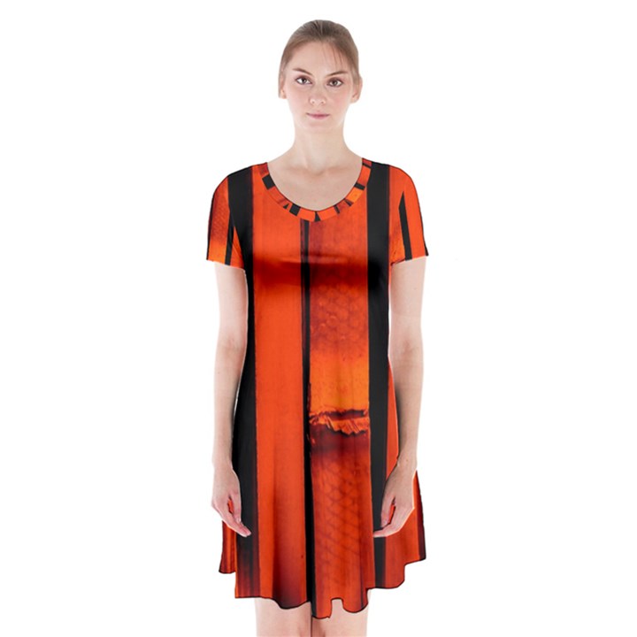 Orange Seamless Bamboo Background Short Sleeve V-neck Flare Dress