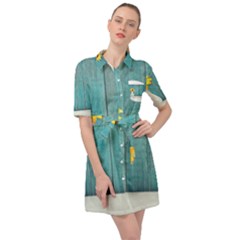 Sun Flower 3292932 960 720 Belted Shirt Dress by vintage2030