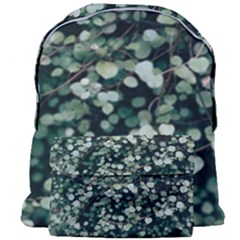 Plant 690078 960 720 Giant Full Print Backpack by vintage2030