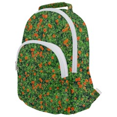 Carnations Flowers Seamless Rounded Multi Pocket Backpack by Vaneshart