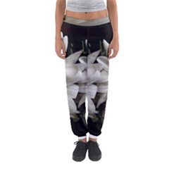 Daisies Women s Jogger Sweatpants by bestdesignintheworld