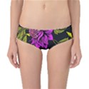 Botany  Classic Bikini Bottoms View1