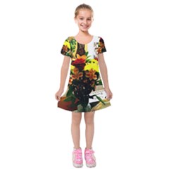 July 1 2 Kids  Short Sleeve Velvet Dress by bestdesignintheworld