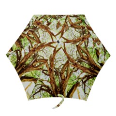 Hot Day In Dallas 14 Mini Folding Umbrellas by bestdesignintheworld