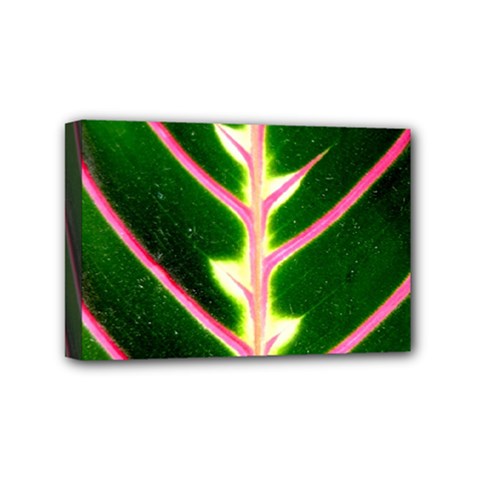 Exotic Green Leaf Mini Canvas 6  X 4  (stretched) by Vaneshart
