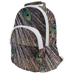 Peacock Feathers Pattern Colorful Rounded Multi Pocket Backpack