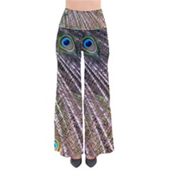 Peacock Feathers Pattern Colorful So Vintage Palazzo Pants