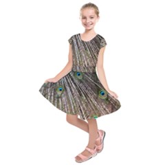 Peacock Feathers Pattern Colorful Kids  Short Sleeve Dress