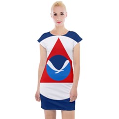 Flag Of National Oceanic And Atmospheric Administration Cap Sleeve Bodycon Dress by abbeyz71