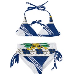 Coat Of Arms Of United States Army 144th Infantry Regiment Kids  Classic Bikini Set by abbeyz71