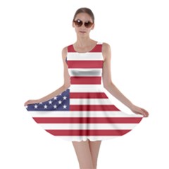 Flag Of The United States Of America  Skater Dress by abbeyz71