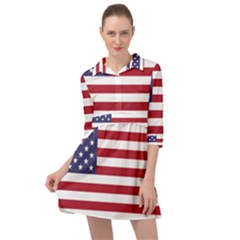 Flag Of The United States Of America  Mini Skater Shirt Dress by abbeyz71