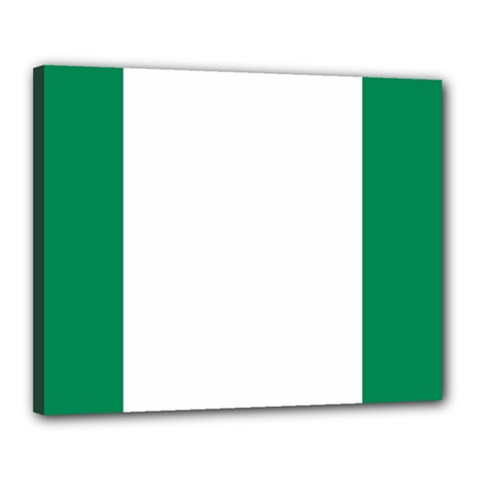 Flag Of Nigeria Canvas 20  X 16  (stretched) by abbeyz71