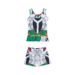 Flag Of Nigeria  Kids  Boyleg Swimsuit by abbeyz71