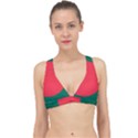 Flag of Bangladesh Classic Banded Bikini Top View1