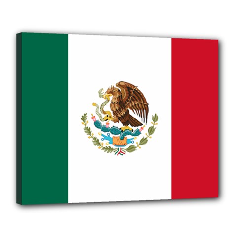 Flag Of Mexico Canvas 20  X 16  (stretched) by abbeyz71