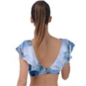 Cute Fairy With Dove Plunge Frill Sleeve Bikini Top View2