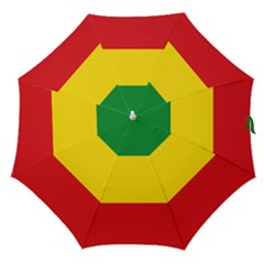 Flag Of Ethiopia Straight Umbrellas by abbeyz71