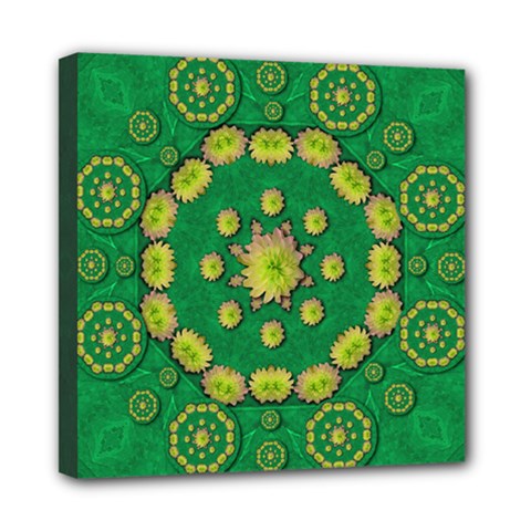 Fauna Bloom Mandalas On Bohemian Green Leaves Mini Canvas 8  X 8  (stretched)