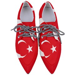 Vertical Flag Of Turkey Women s Pointed Oxford Shoes by abbeyz71