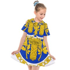 Coat Of Arms Of The French Republic Kids  Short Sleeve Shirt Dress by abbeyz71