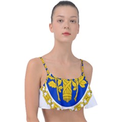 Coat Of Arms Of The French Republic Frill Bikini Top by abbeyz71