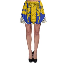 Coat Of Arms Of The French Republic, 1905-1953 Skater Skirt by abbeyz71