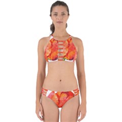 Tulip Watercolor Red And Black Stripes Perfectly Cut Out Bikini Set by picsaspassion