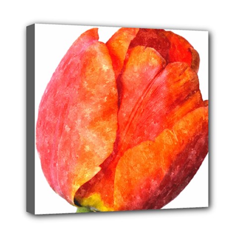 Spring Tulip Red Watercolor Aquarel Mini Canvas 8  X 8  (stretched) by picsaspassion