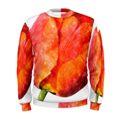 Spring Tulip Red Watercolor Aquarel Men s Sweatshirt by picsaspassion