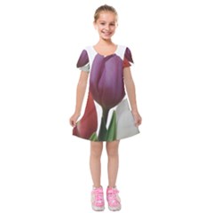 Tulips Spring Bouquet Kids  Short Sleeve Velvet Dress by picsaspassion